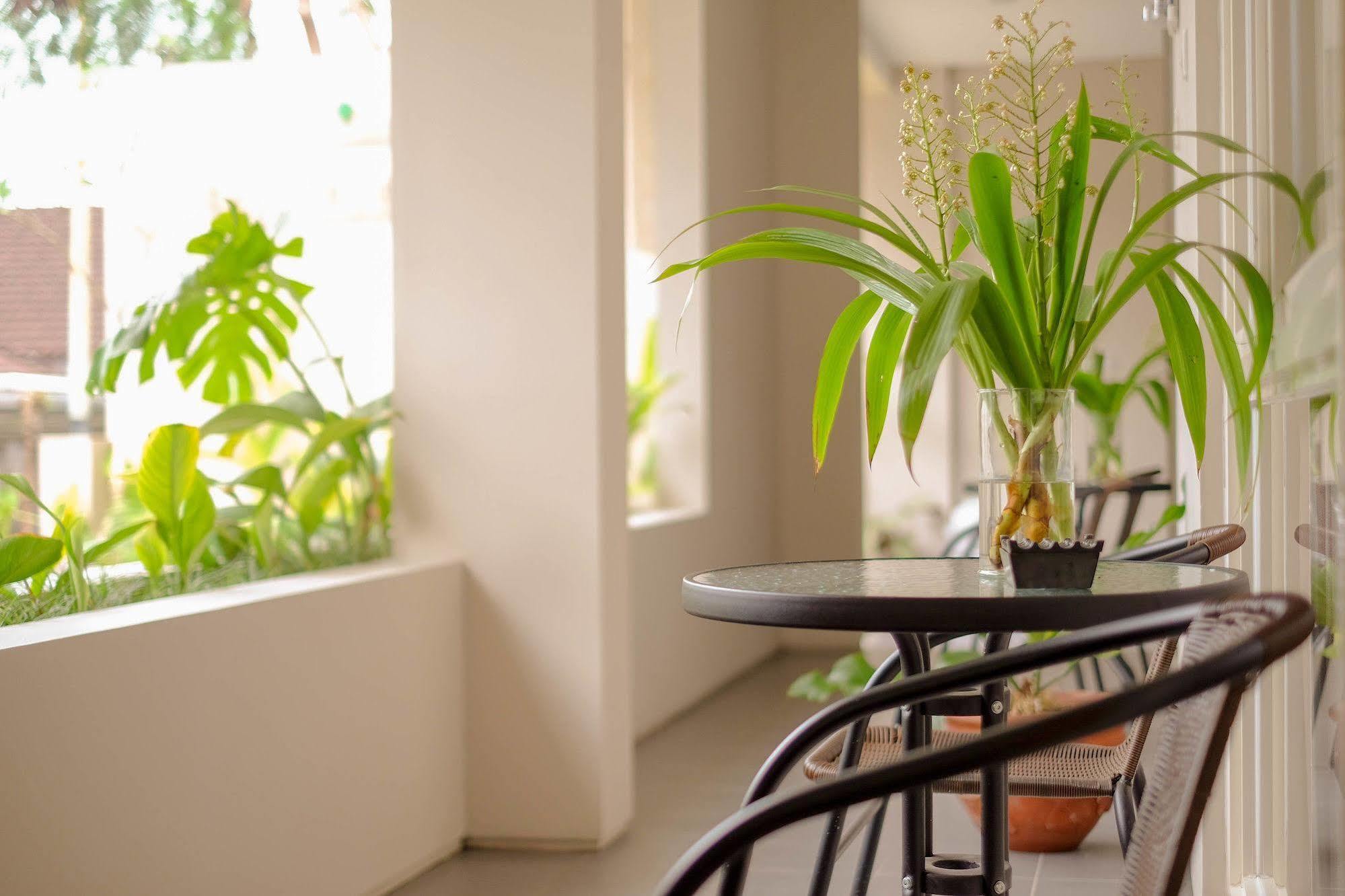 Bali True Living Aparthotel Dempasar Exterior foto
